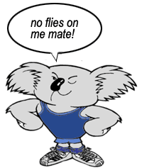 Koala - no flies on me mate!